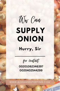 fresh onion 2