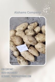 fresh potatoes 2