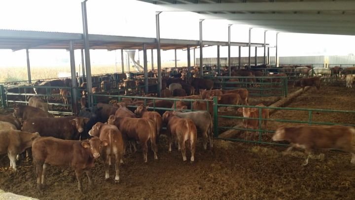 استثمار في اسبانيا شراء اراضي زراعيه عقارات فنادق منازل