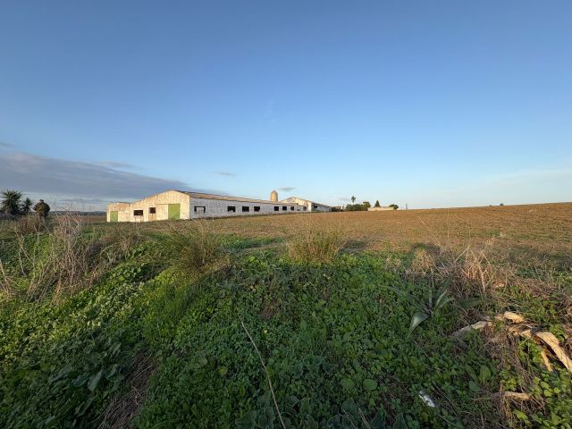 استثمار في اسبانيا شراء اراضي زراعيه عقارات فنادق منازل 7