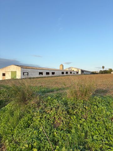 استثمار في اسبانيا شراء اراضي زراعيه عقارات فنادق منازل 8