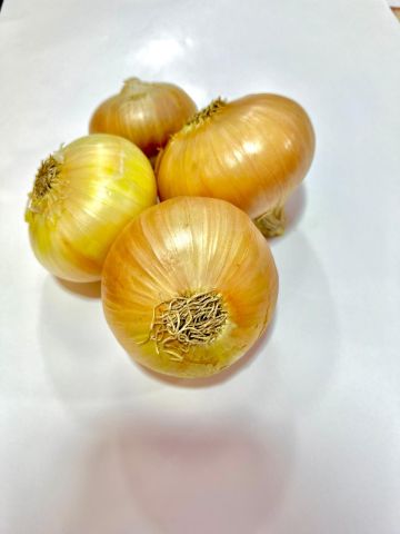  Golden Onions: Farm-Direct & Competitive Pricing!