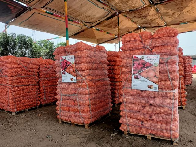  Golden Onions: Farm-Direct & Competitive Pricing! 3